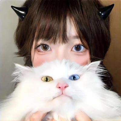 世纪邪风暴 在线观看