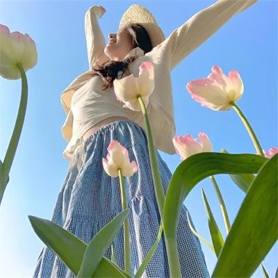 冬狮(电视剧) 在线观看